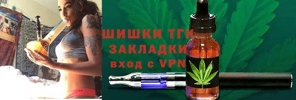 шишки Вязники